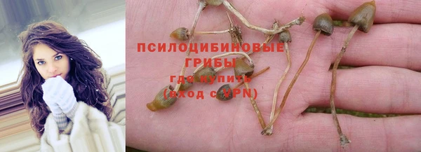 PSILOCYBIN Белоозёрский