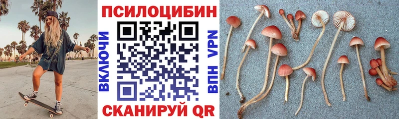мориарти какой сайт  Весьегонск  Псилоцибиновые грибы прущие грибы 